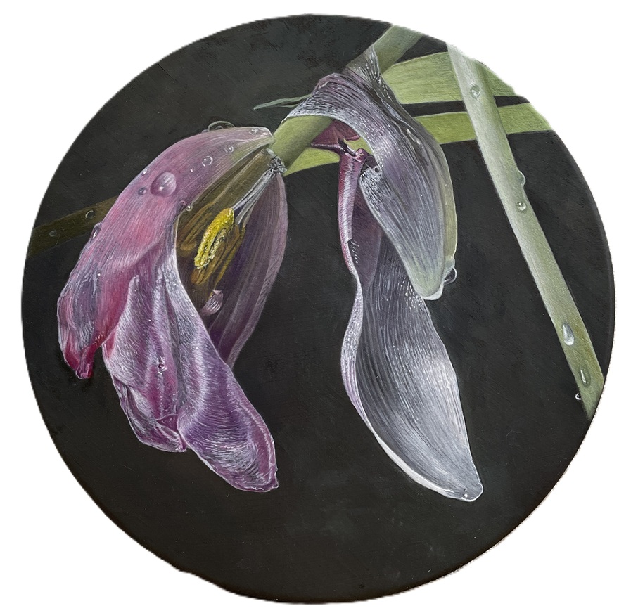Hold On To Your Silver Lining, 2025 – Botanical oil painting on panel, 20 cm diameter – Ginny Page